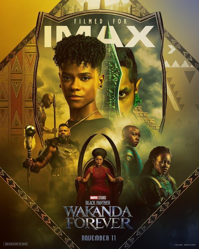 BLACK PANTHER: WAKANDA FOREVER HINDI (2022)